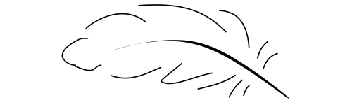 ENC hybridn&iacute;